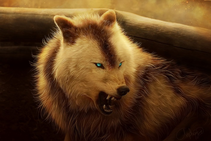 Aggressive wolf with glowing blue eyes