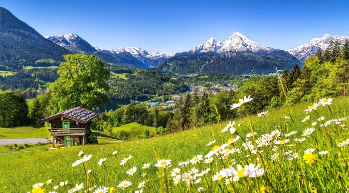 Alpine village with snow-capped mountains and wildflowers