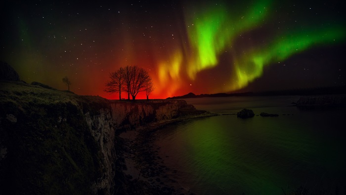Aurora Borealis over a rocky coastline with trees