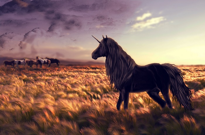 Black Unicorn in a Field at Sunset