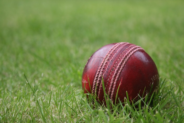 Cricket ball on grass 4K