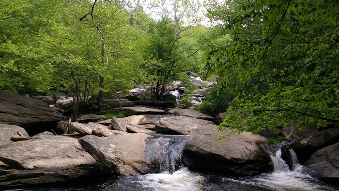 Waterfall in a forest with rocks