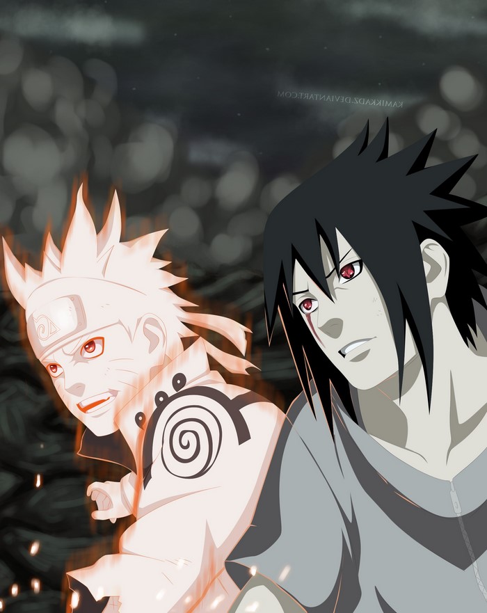 Naruto Shippuden: Naruto and Sasuke