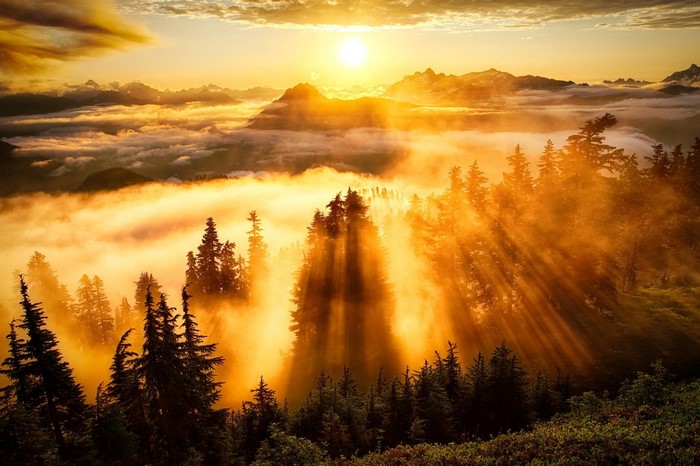 Sun rays over misty mountains and forest