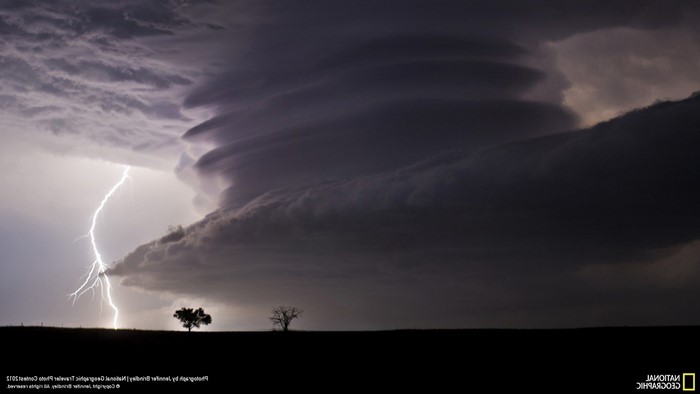 Lightning strikes a storm over a field with two trees
