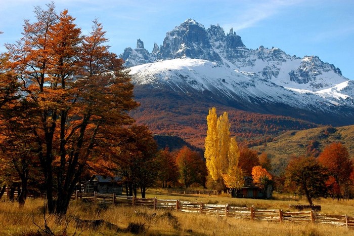 Snowy Mountain Peak and Autumn Trees in Patagonia