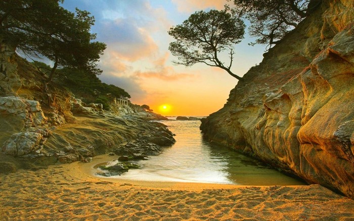Sunrise Over Rocky Beach and Tree-Lined Coast