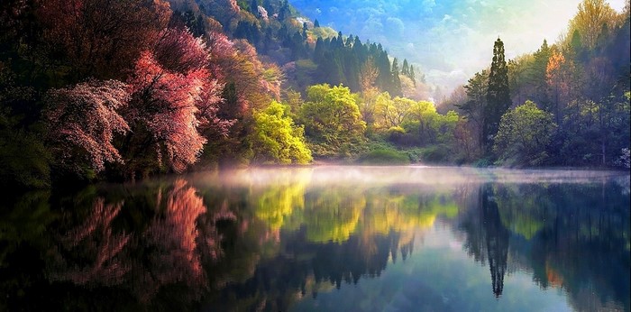 Misty lake reflecting colorful spring trees in South Korea