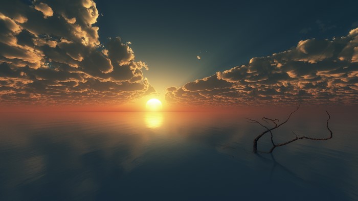 Sunset over the sea with clouds and a branch