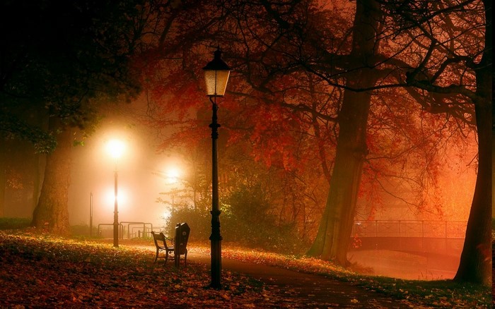 Park at night with lanterns and autumn leaves