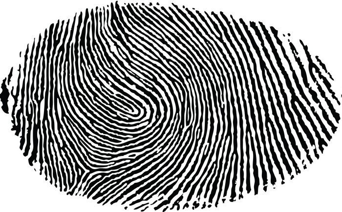 Black and white fingerprint on a white background