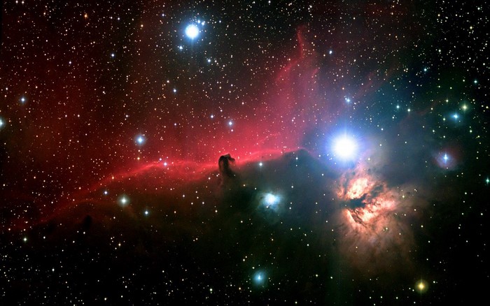Horsehead Nebula in space with stars