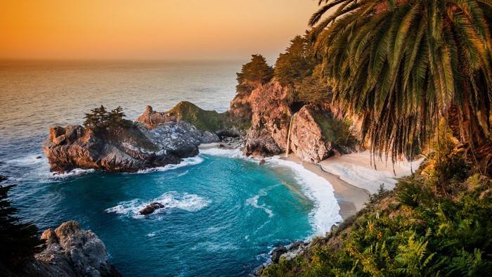 Scenic Coastal Beach with Palm Trees and Waterfall