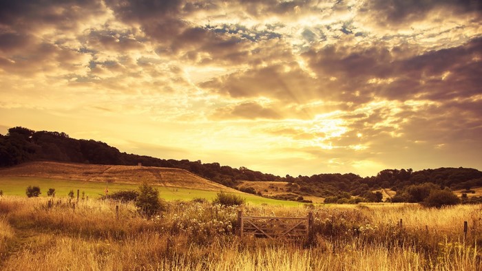 Golden sunset over a rural landscape with a wooden gate