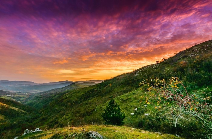 Green valley and hills at sunset with colorful clouds