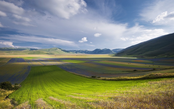 Fields of Castelluccio di Norcia, Italy