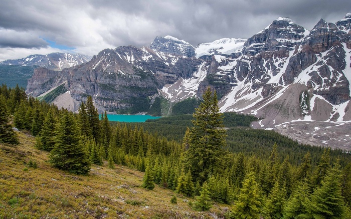 Turquoise lake and snow-capped mountains with pine forest