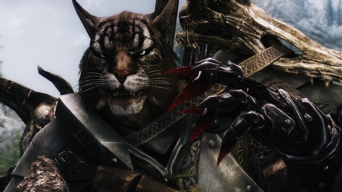 Khajiit from The Elder Scrolls V Skyrim