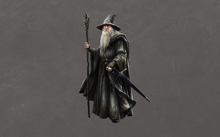 Gandalf the Grey from The Lord of the Rings