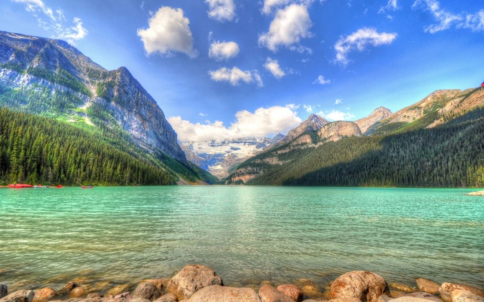 Turquoise Lake Louise with Mountains and Forest
