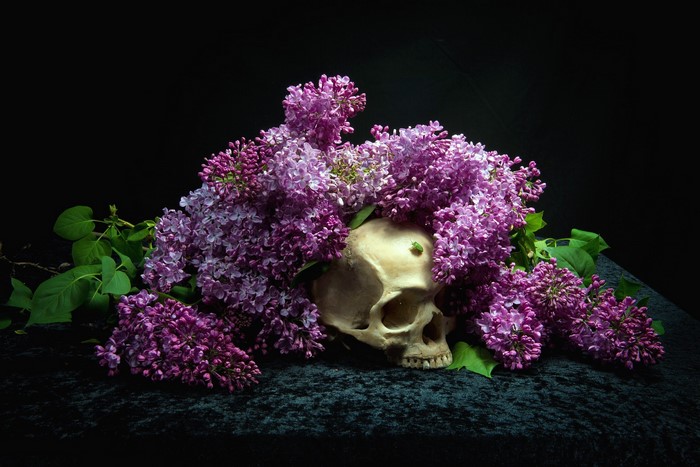 Skull with purple lilacs and a green beetle