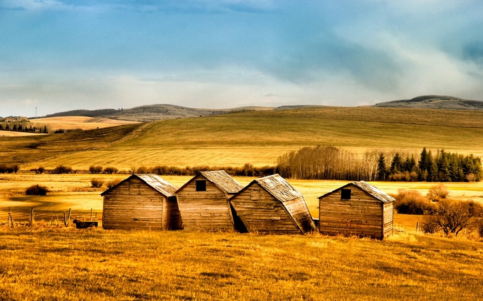 Four wooden sheds in a golden field with rolling hills