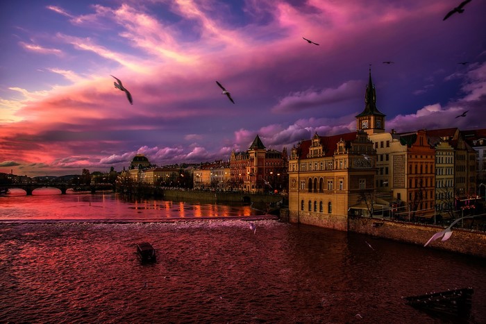 Prague cityscape at sunset with birds over river