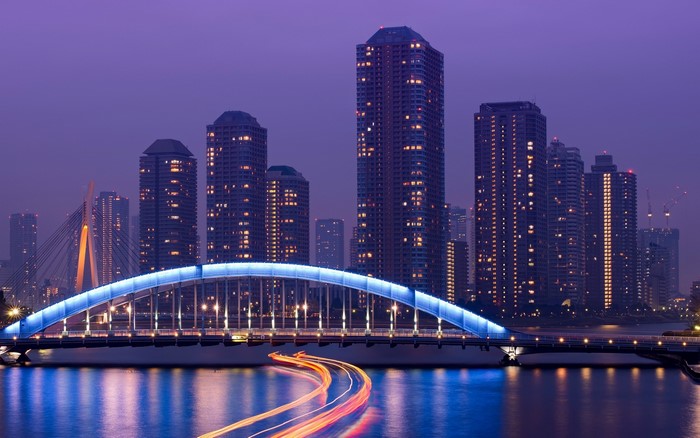 Tokyo cityscape with illuminated bridge and skyscrapers at night
