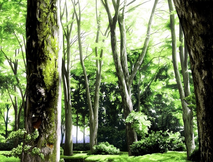Anime forest with sunlight filtering through trees