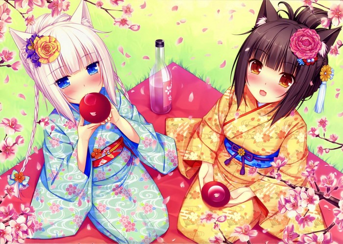 Neko Works: Vanilla and Chocolate at a Cherry Blossom Picnic
