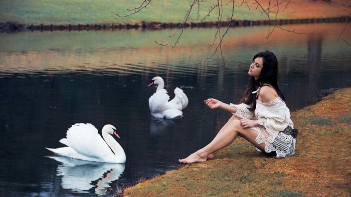 Woman with swans by the water