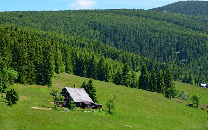 House on a grassy hill with a forest background