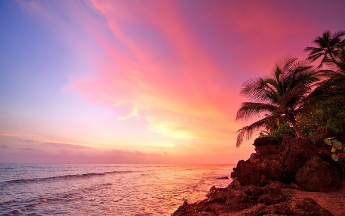 Tropical beach sunset with palm trees and ocean