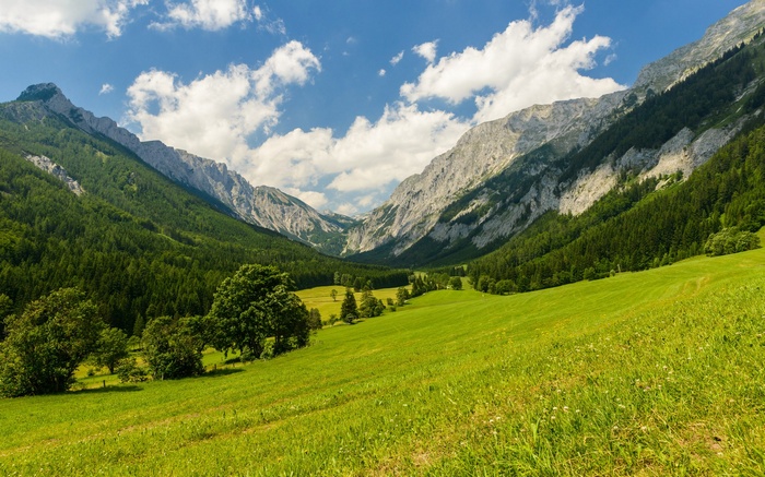 Green valley between mountains under a blue sky