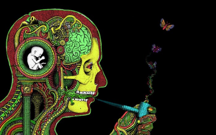 Psychedelic skull with fetus and butterflies