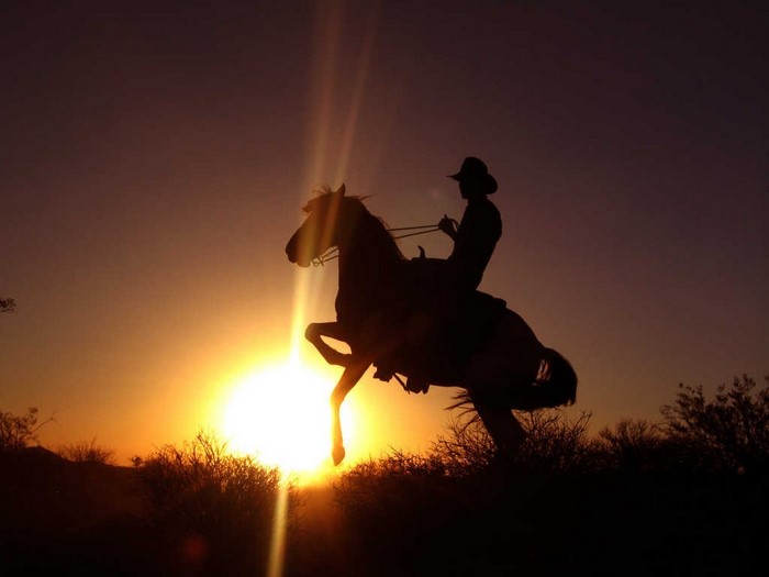Cowboy on a horse at sunset with sun rays