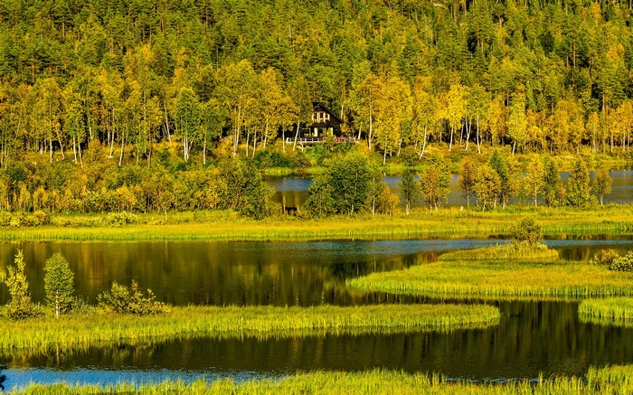 House in a forest by a lake with autumn colors