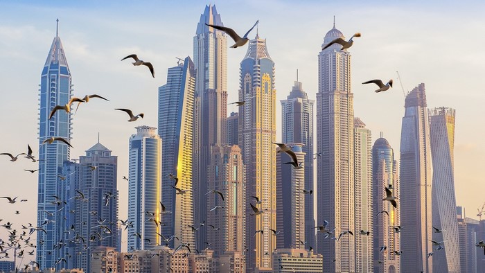 Dubai skyscrapers and seagulls flying