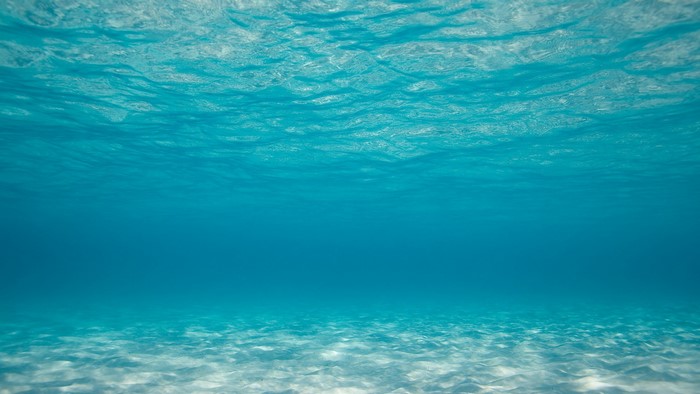Underwater view of the ocean floor with sunlight