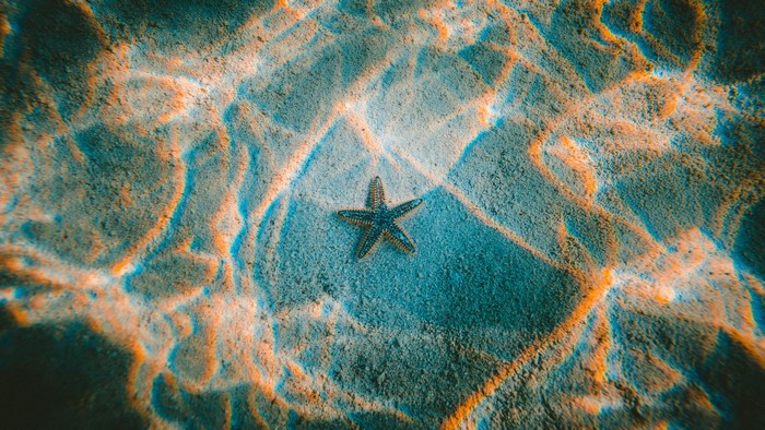 Underwater starfish on sandy seabed with sun rays