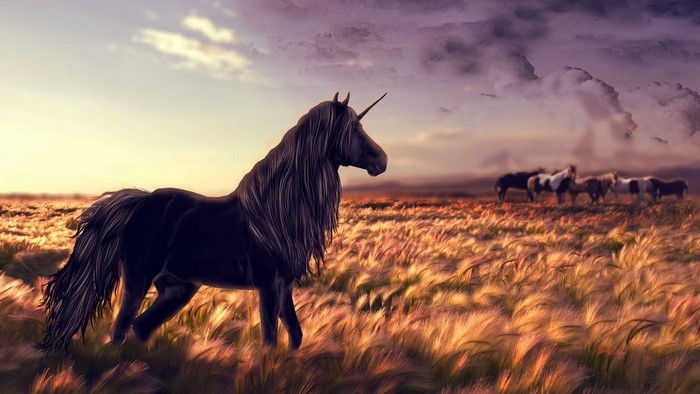 Black unicorn in a field at sunset
