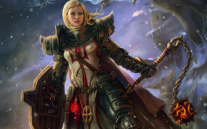 Female Crusader from Diablo III