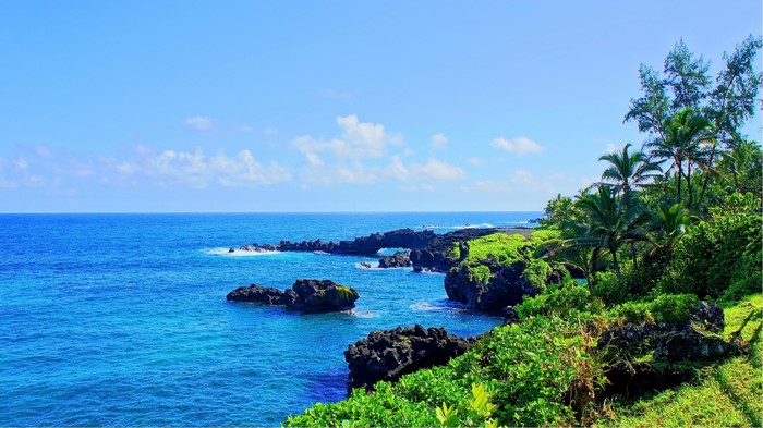 Tropical coast with black rocks and palm trees