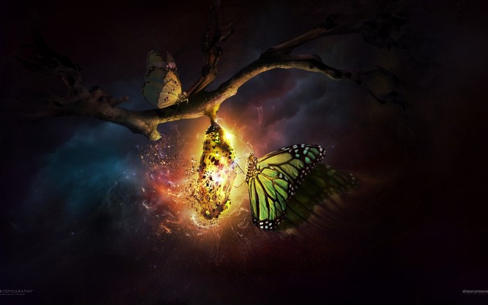 Butterfly emerging from glowing cocoon on a branch