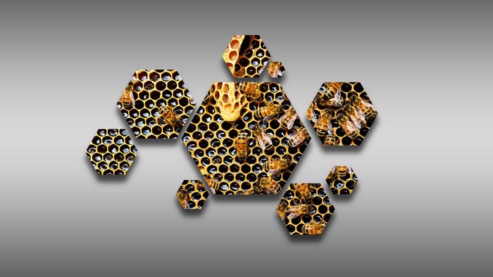 Bees and Honeycombs in Hexagonal Shapes