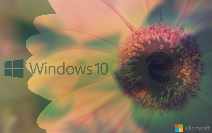 Windows 10 Microsoft logo and flower