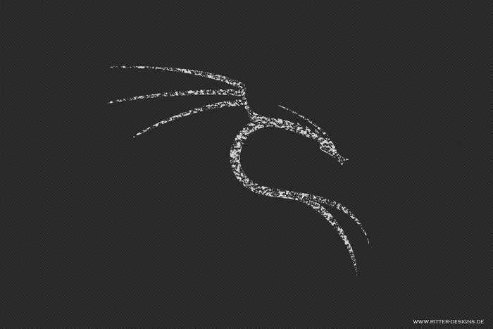 Kali Linux dragon logo on dark background