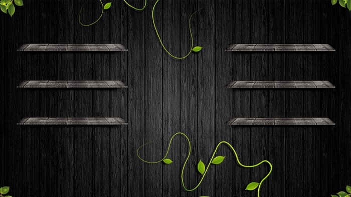 Black wooden shelves with green vines
