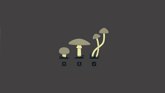 Mushrooms with danger symbols
