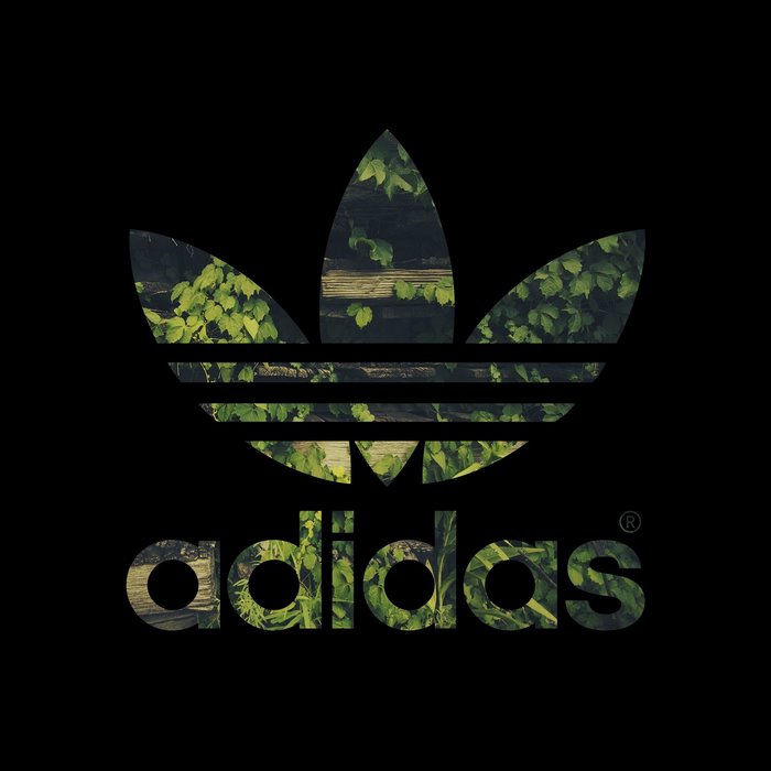 Adidas logo with green leaves and wood texture
